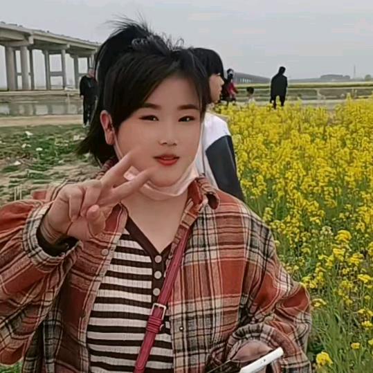 段美美