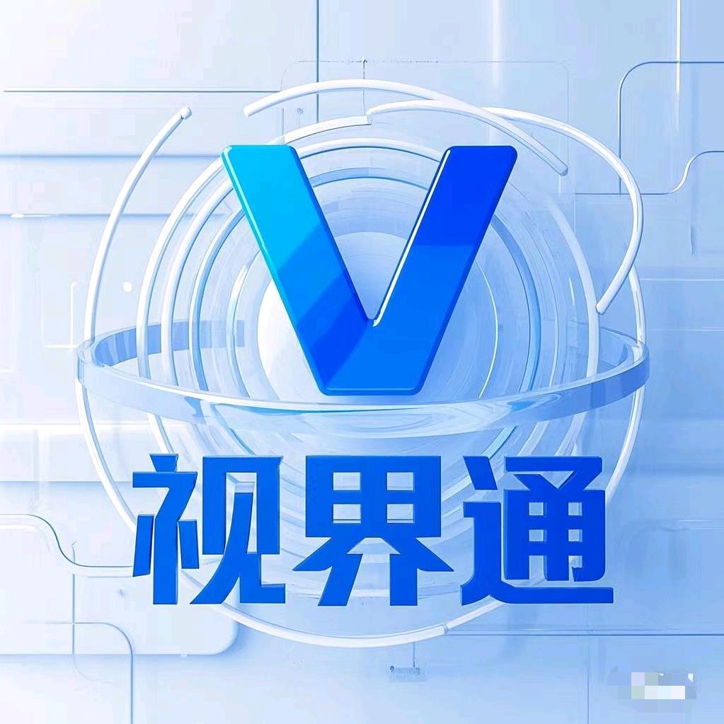 视界通供应链