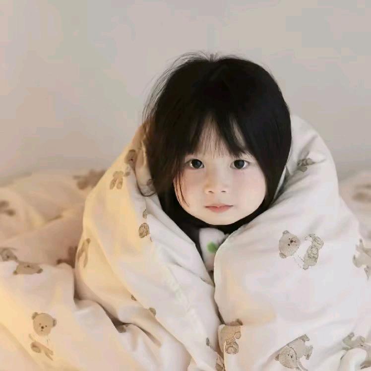 树叶的心事658