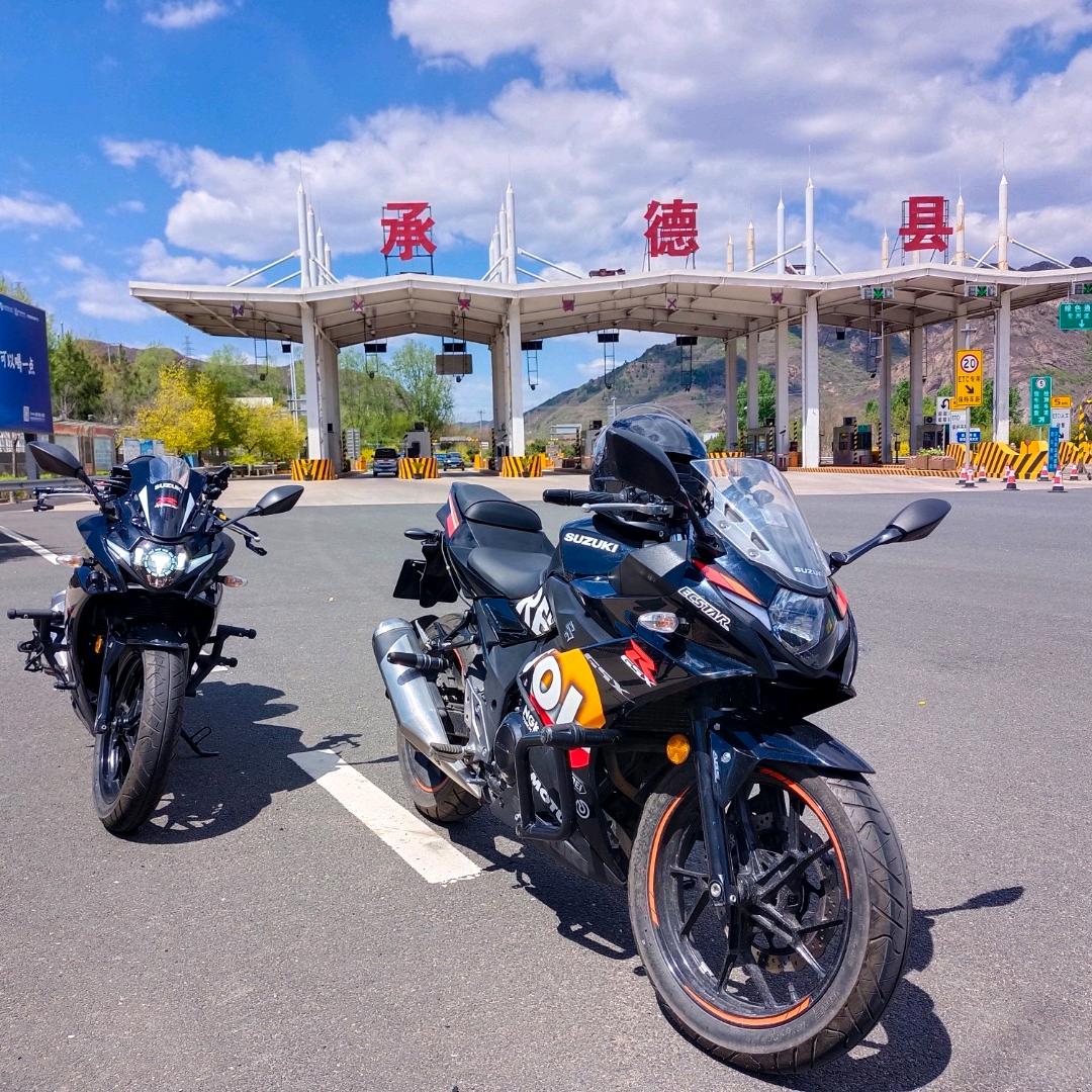 齐掌柜