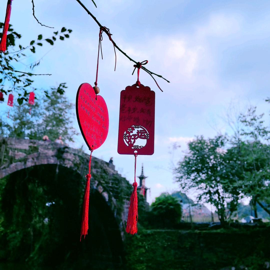 你是葱葱的小太阳哇