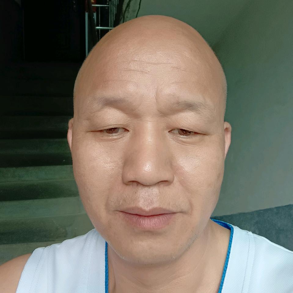 游子归来