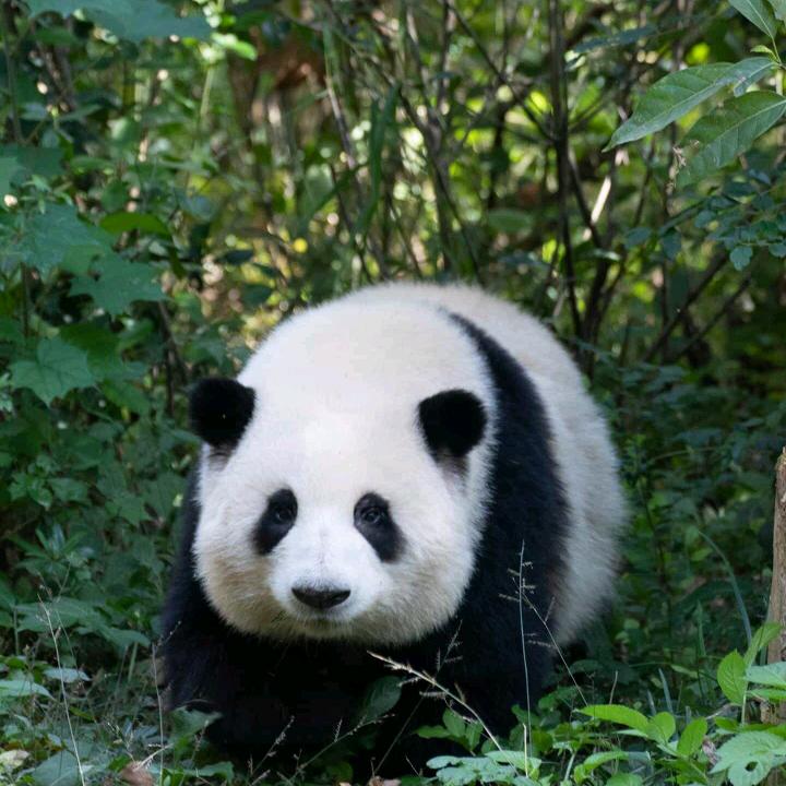 锦彬百货