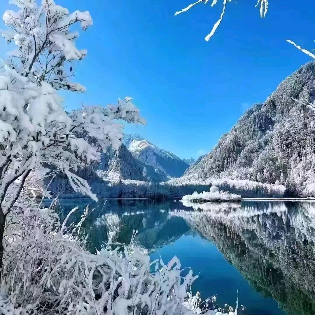 成都晓丹