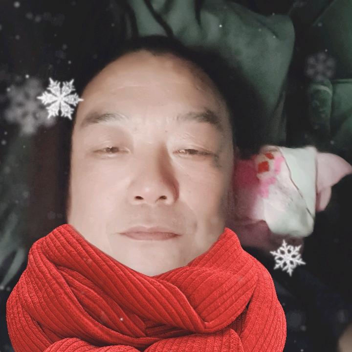 魏锅