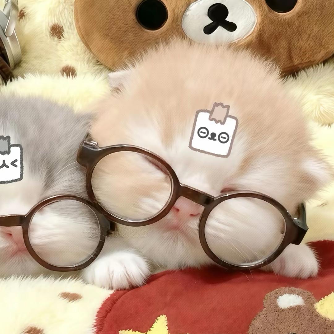 Shy.