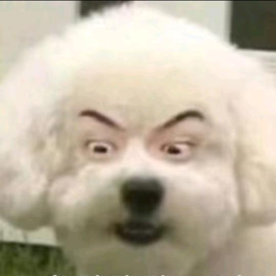 陌上花开🌸🌞