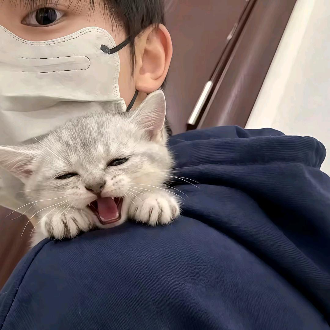 坏事做尽