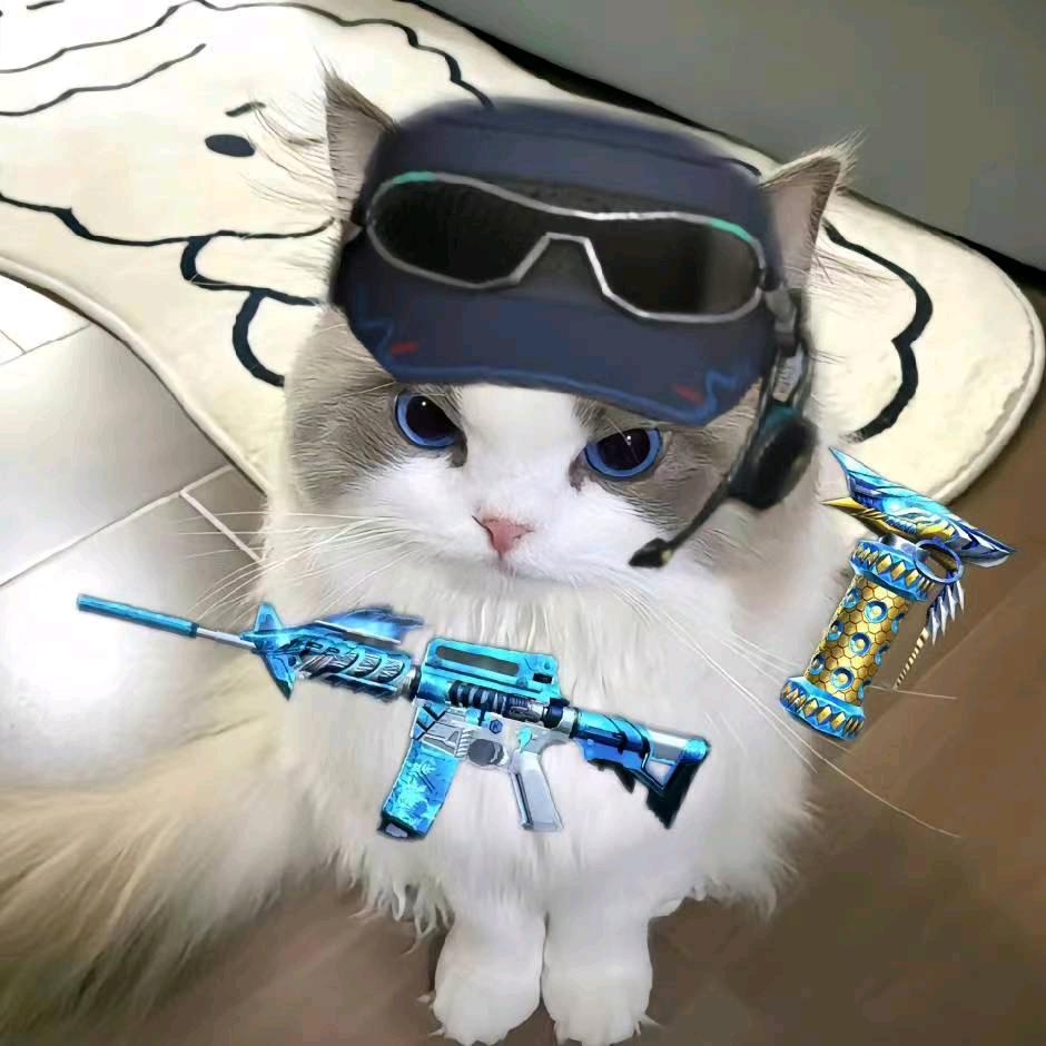 衣