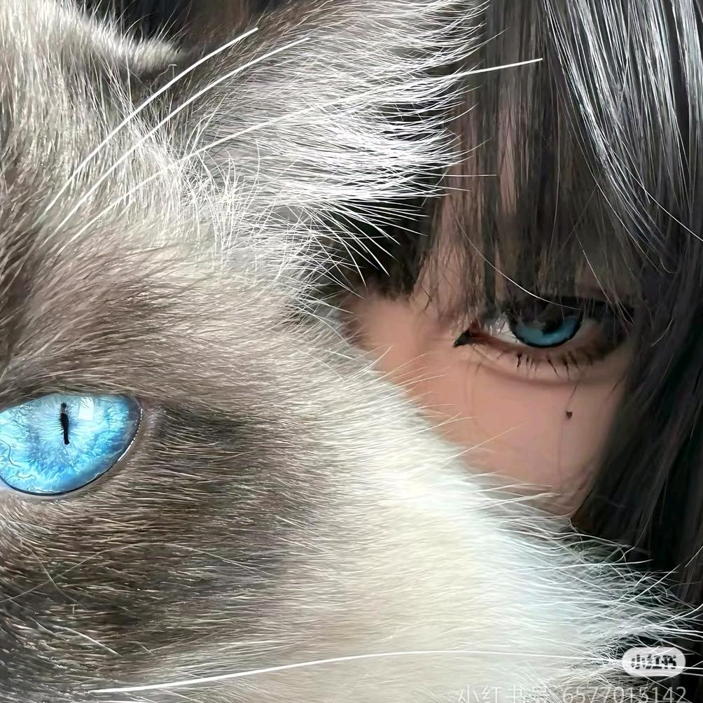 小猫病