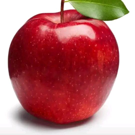 顺粤数码科技工作室