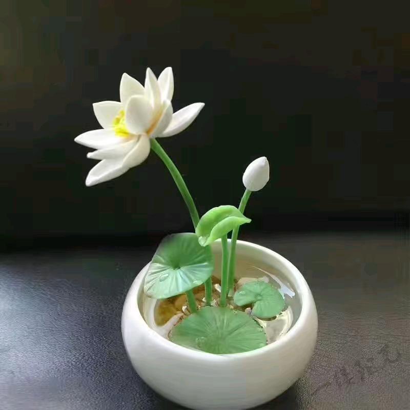 岁月浅浅🎤