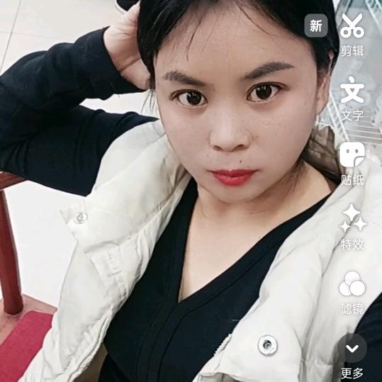 自由小鸟
