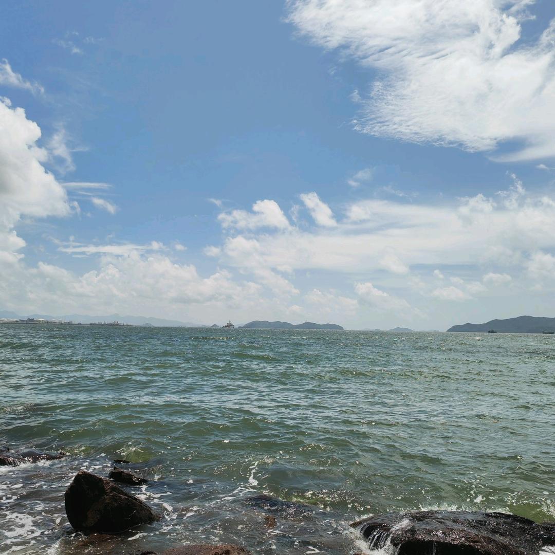 白杨学心理