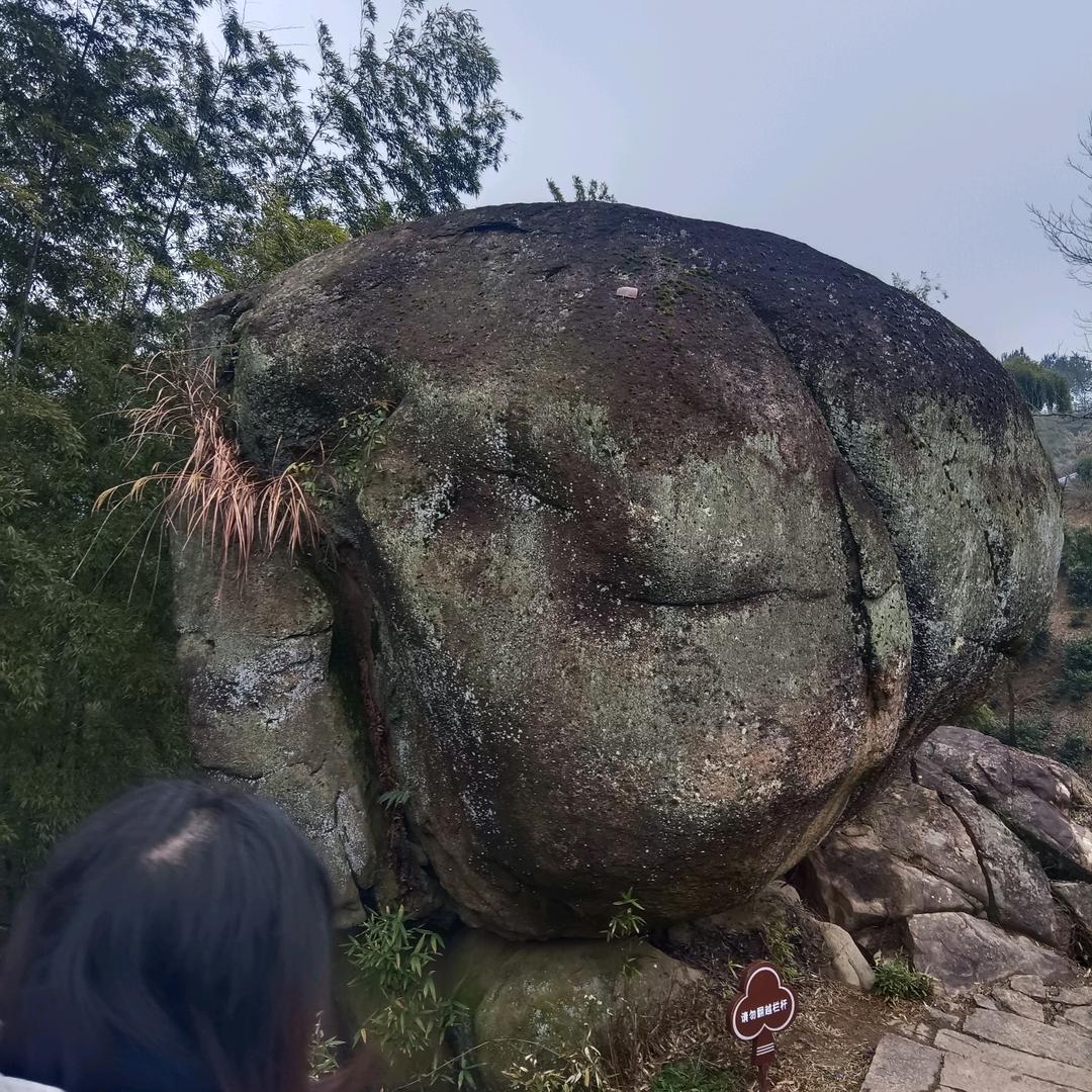 风风雨雨😂😂😂