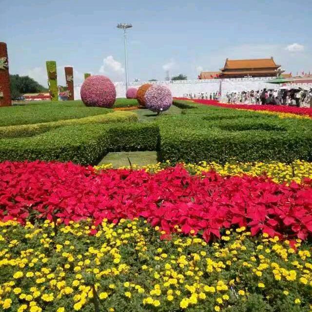 与你相遇
