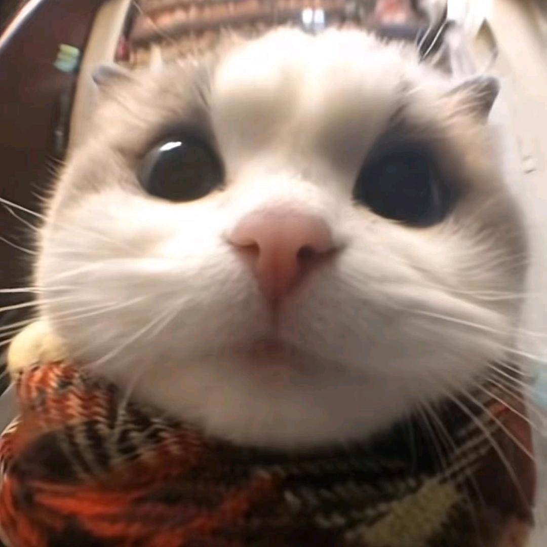 水枪装尿，呲谁谁叫