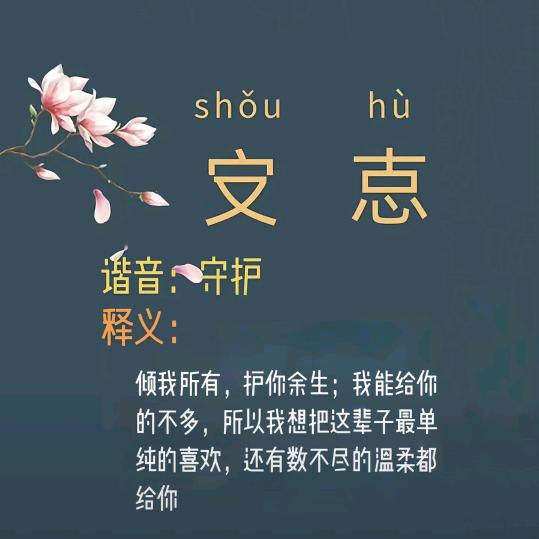 你若不离，我便不弃
