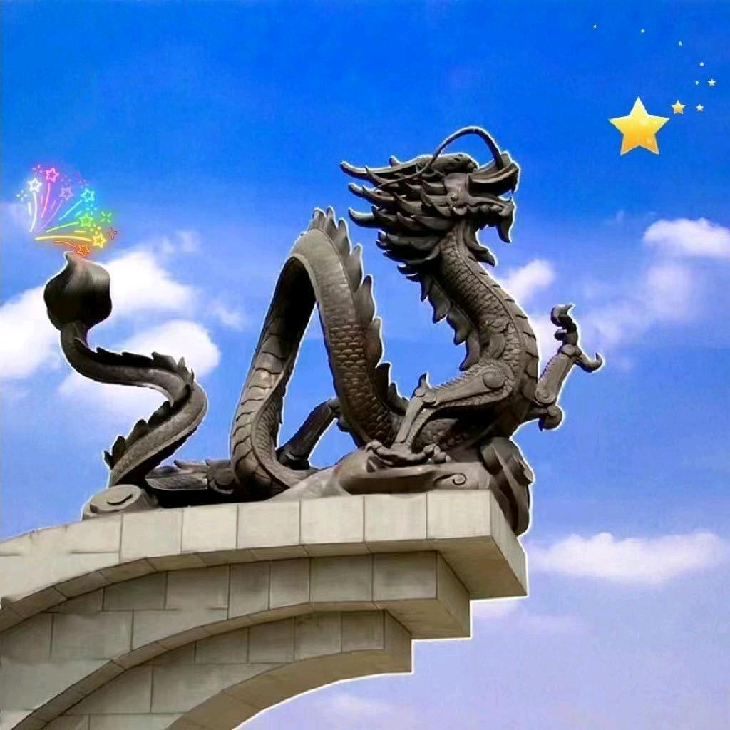 羽飞