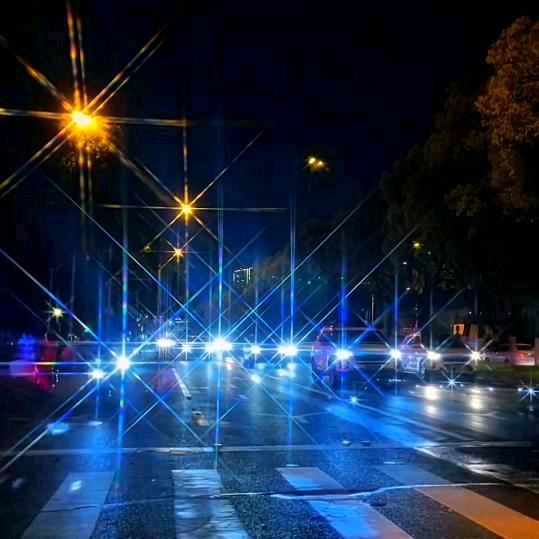 🐉🐉冬🐉🐉哥🐉🐉