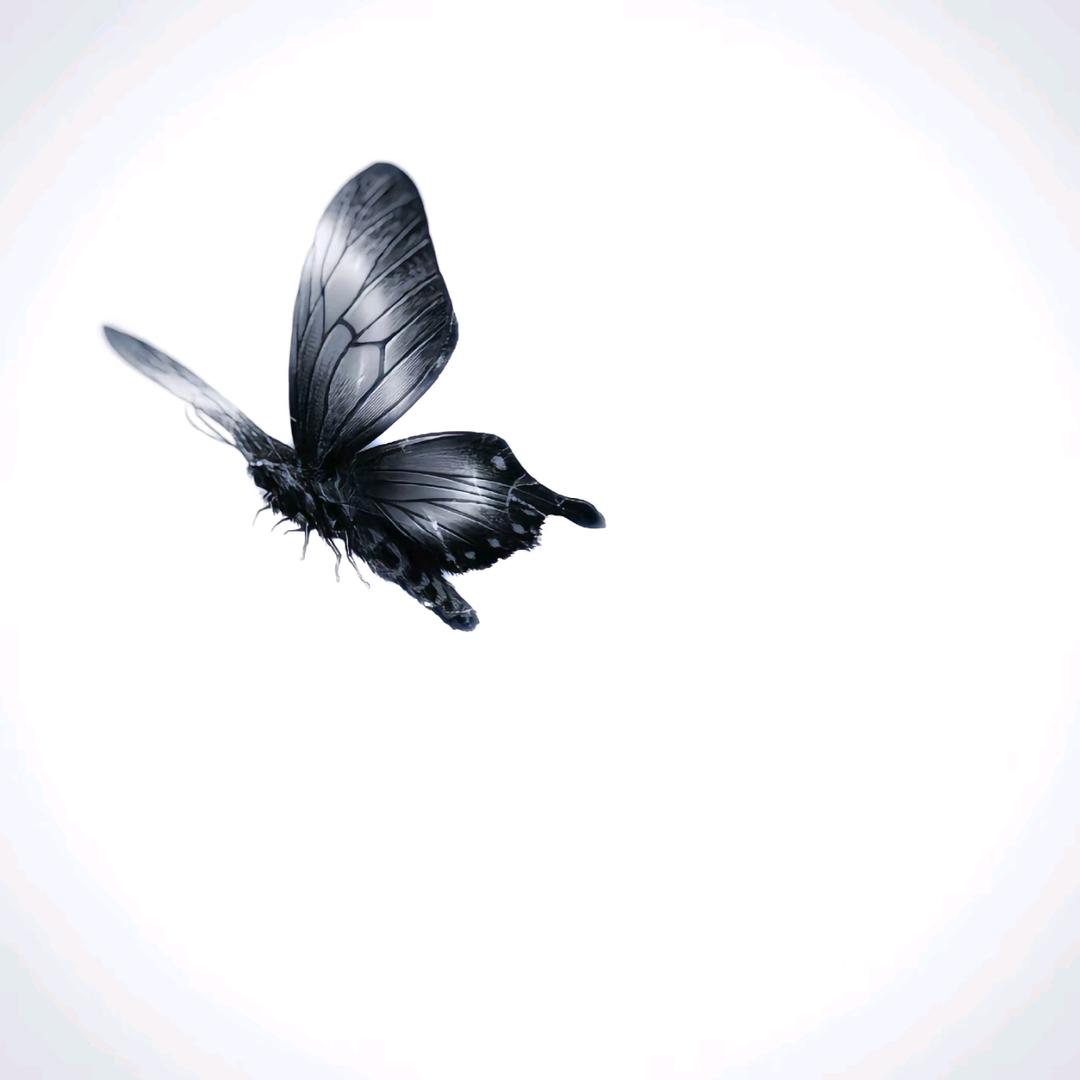 Last Dance