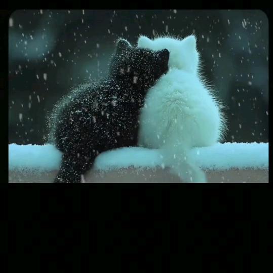 艳姐〈歌唱🎙〉