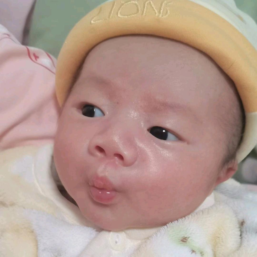 奶宝宝贝