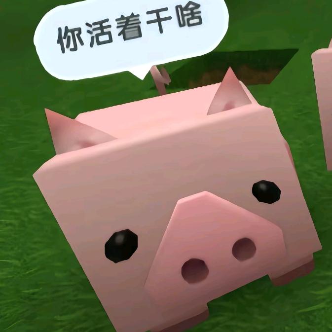 知南