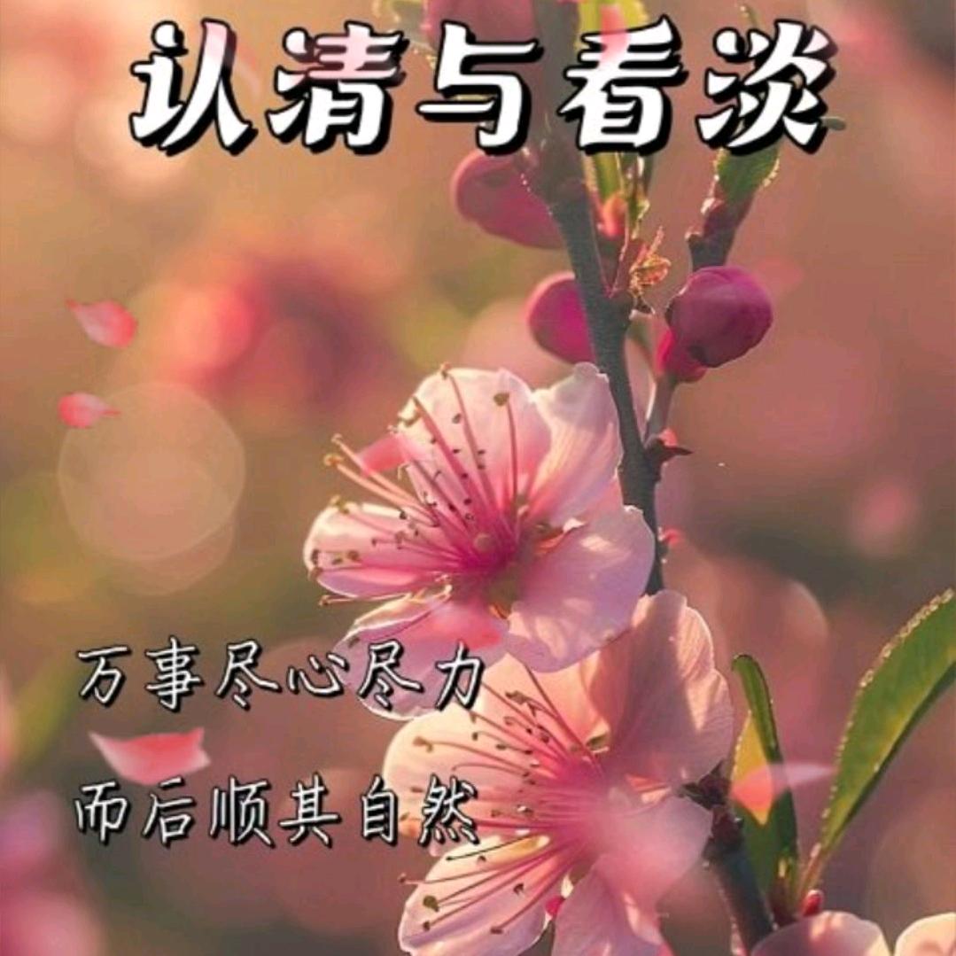 狼