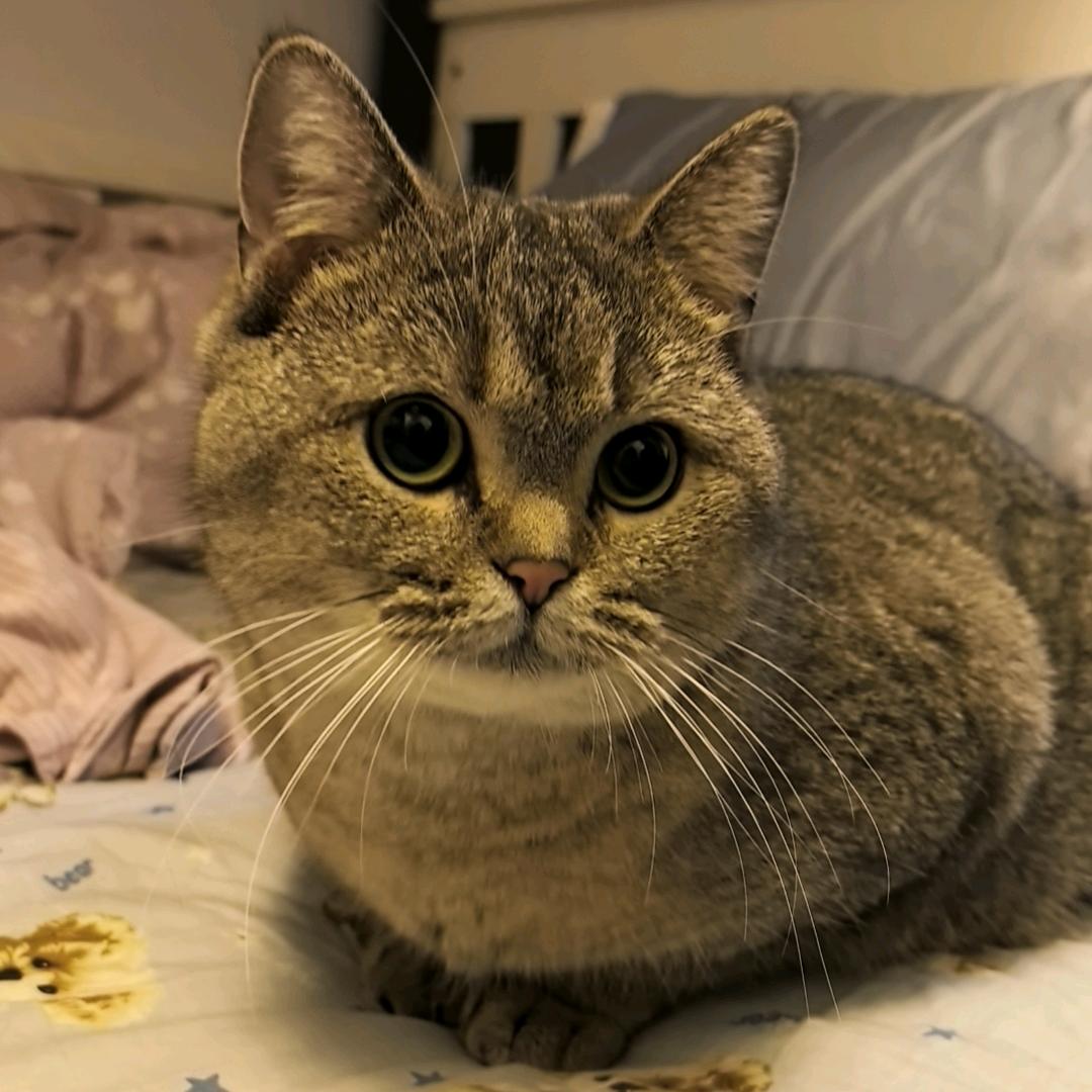 上心❤