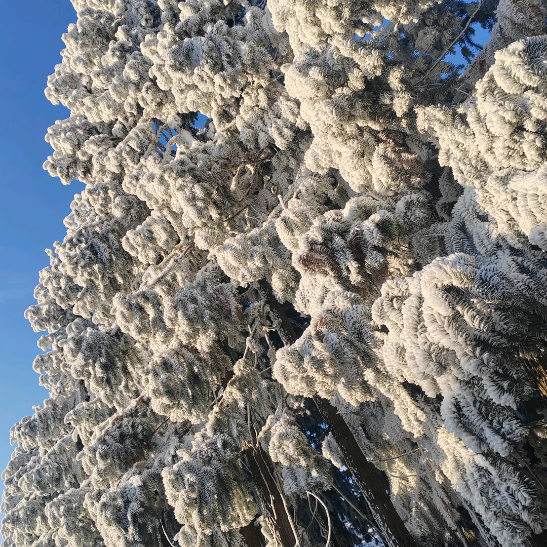 往前走，莫回头