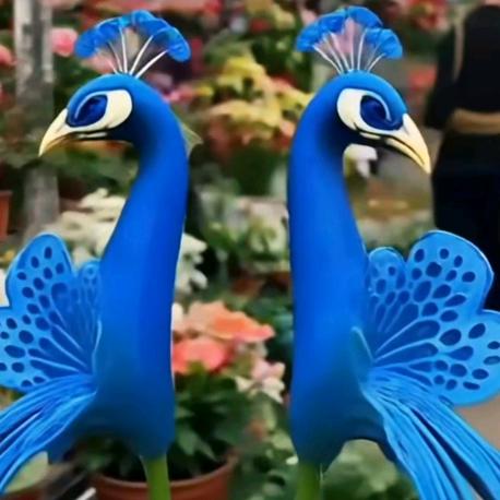 加之华鹦鹉养殖合作社