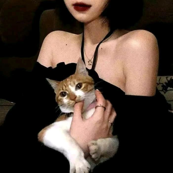 七七不熬夜