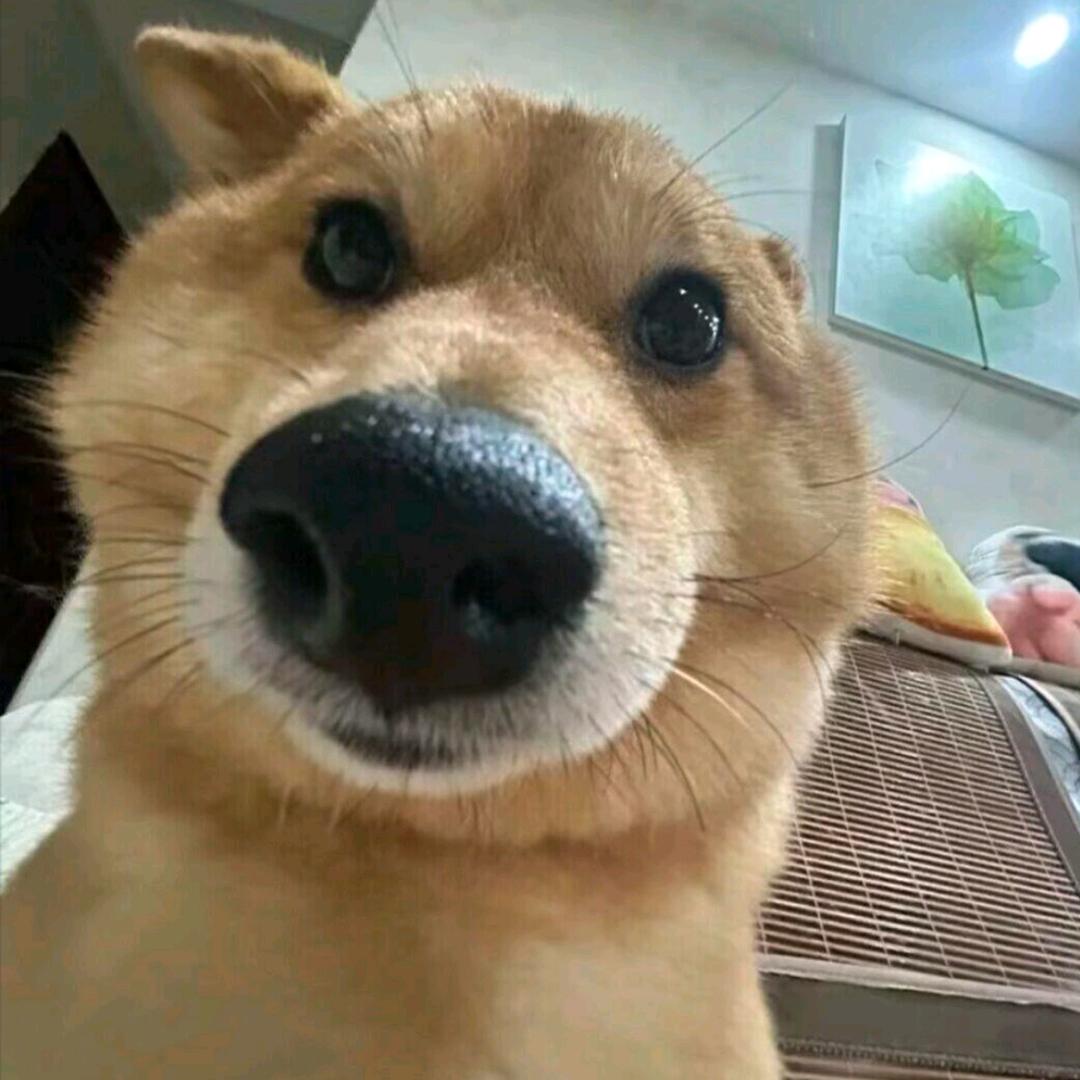 江苏最后的深情