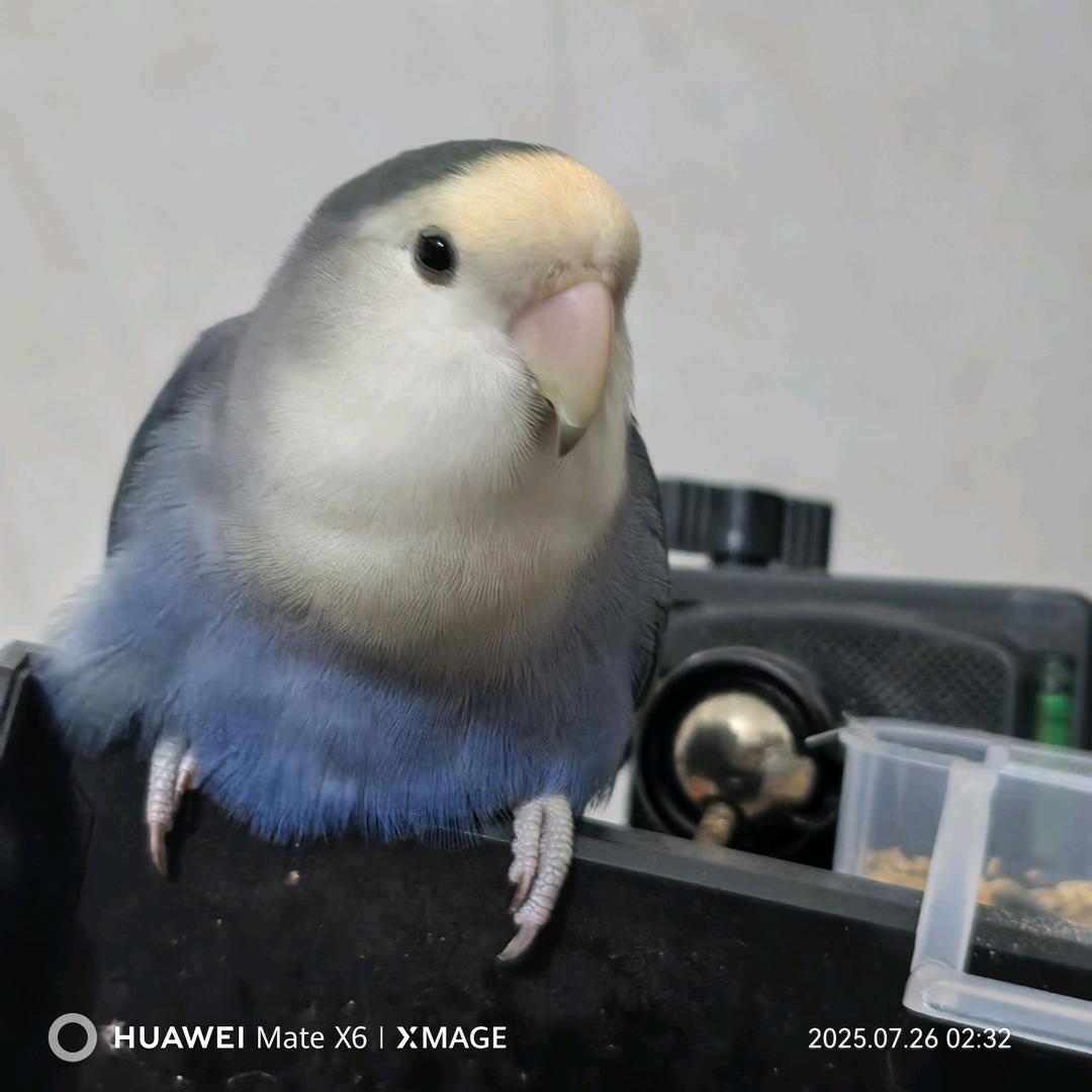 @贵港靓子~梁云💞，寻找有缘人