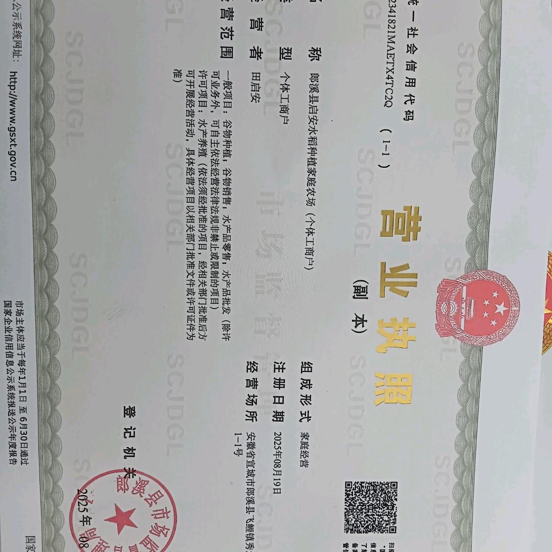 爱要有你才完美