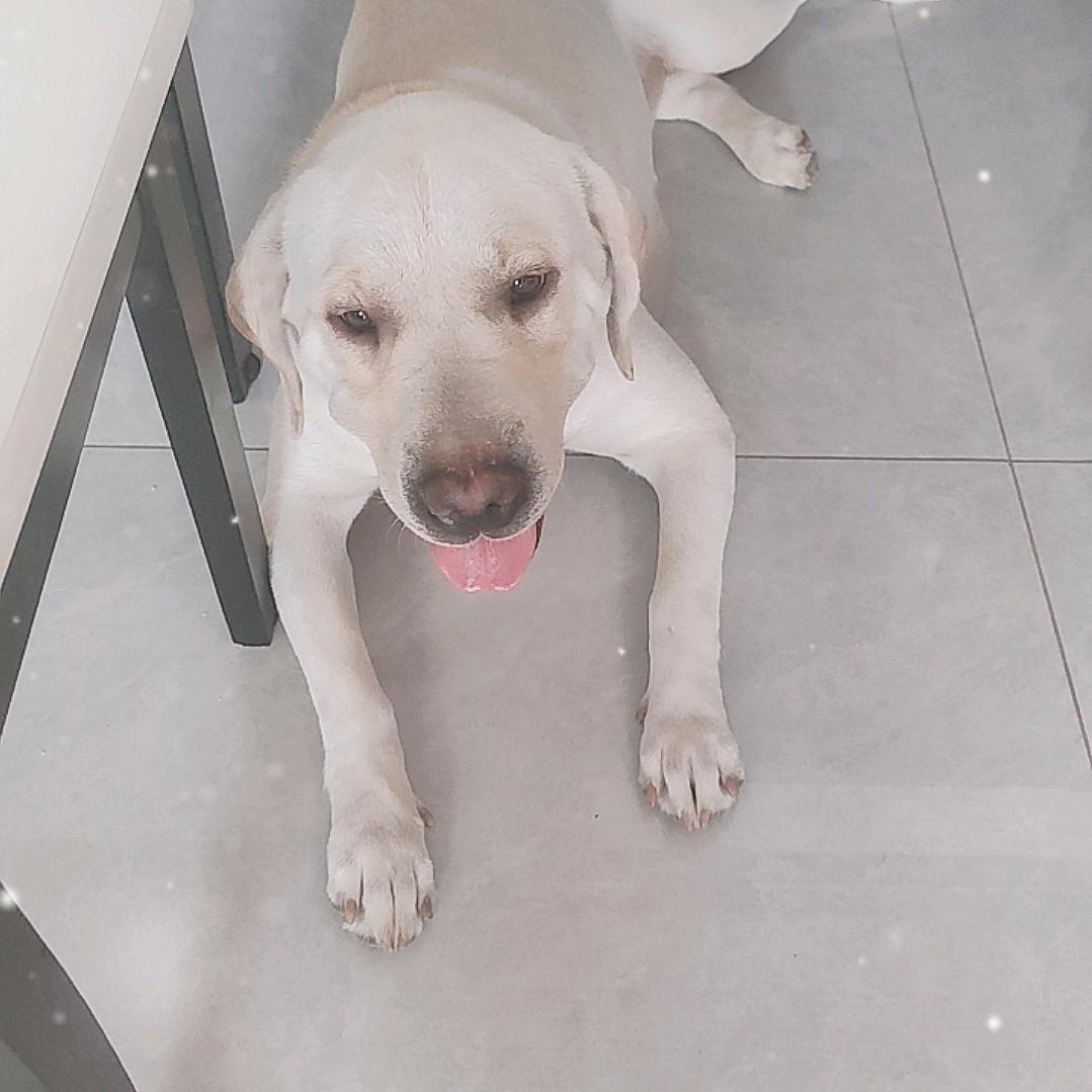 有抬头纹的多多