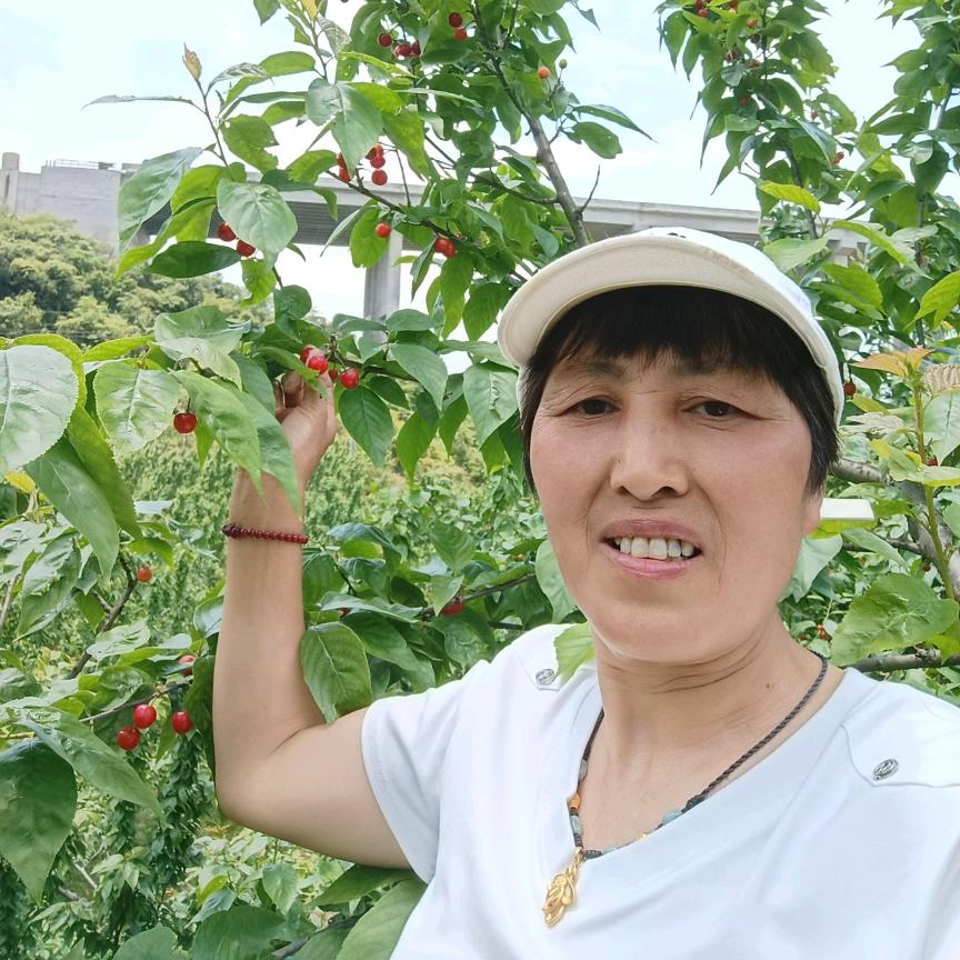 刘元琴