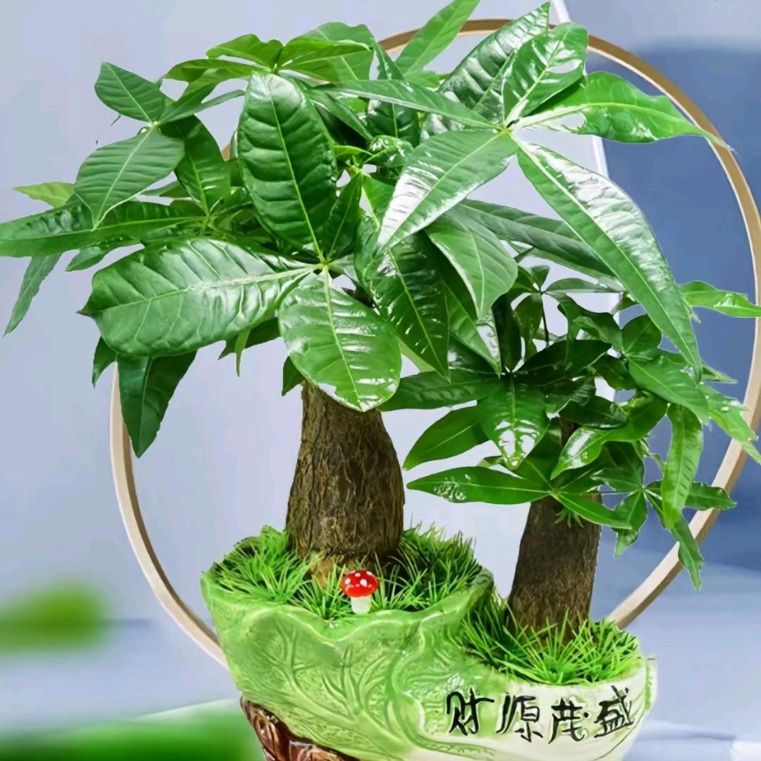断红尘