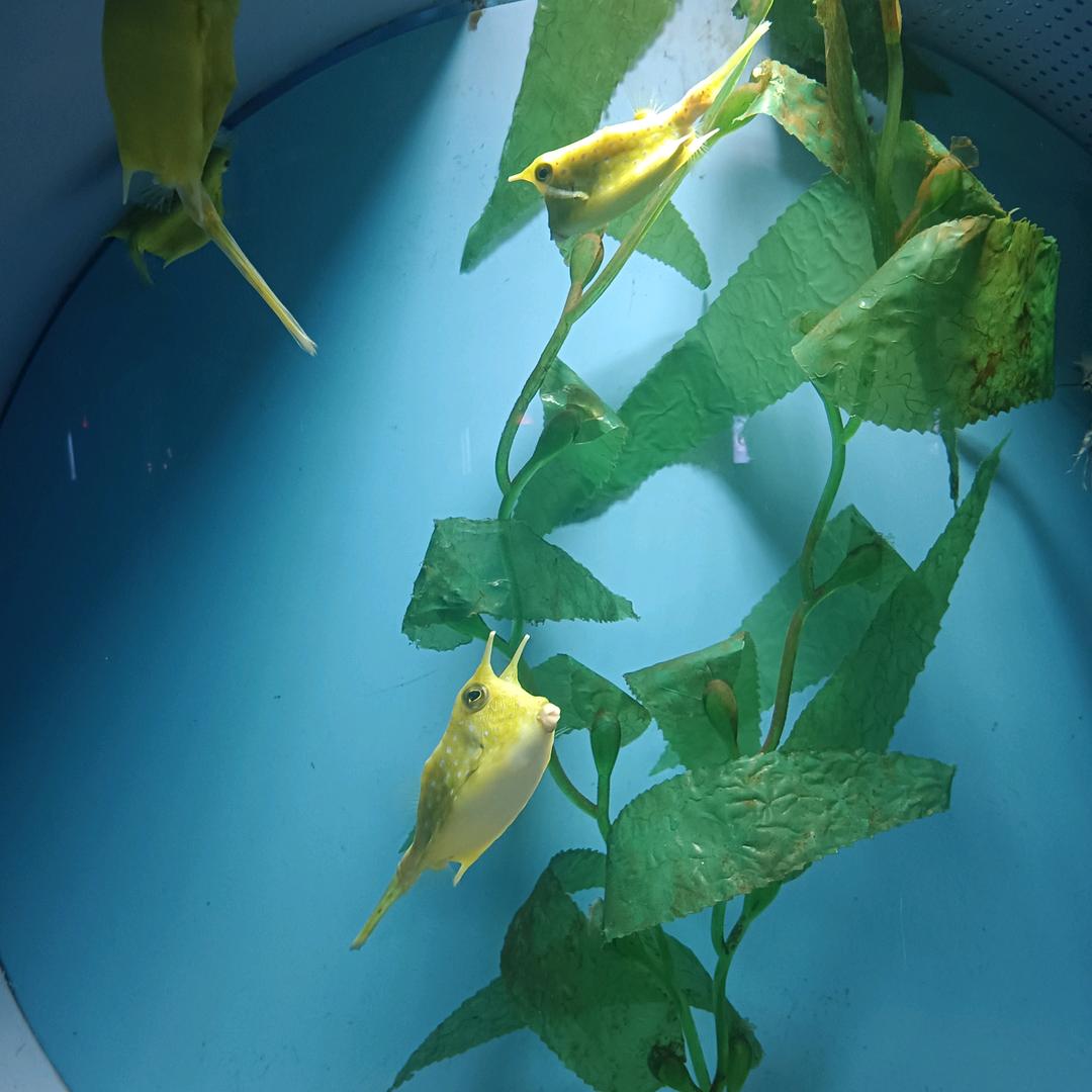 ℒℴѵℯ🥀好男不过柏ꦿ࿐