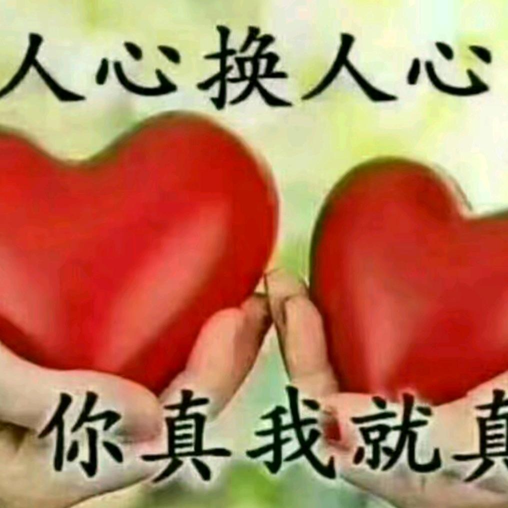 💃单身漂泊