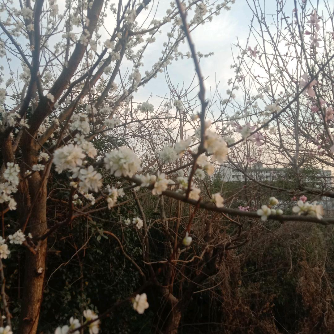 无怨无悔，单身的我