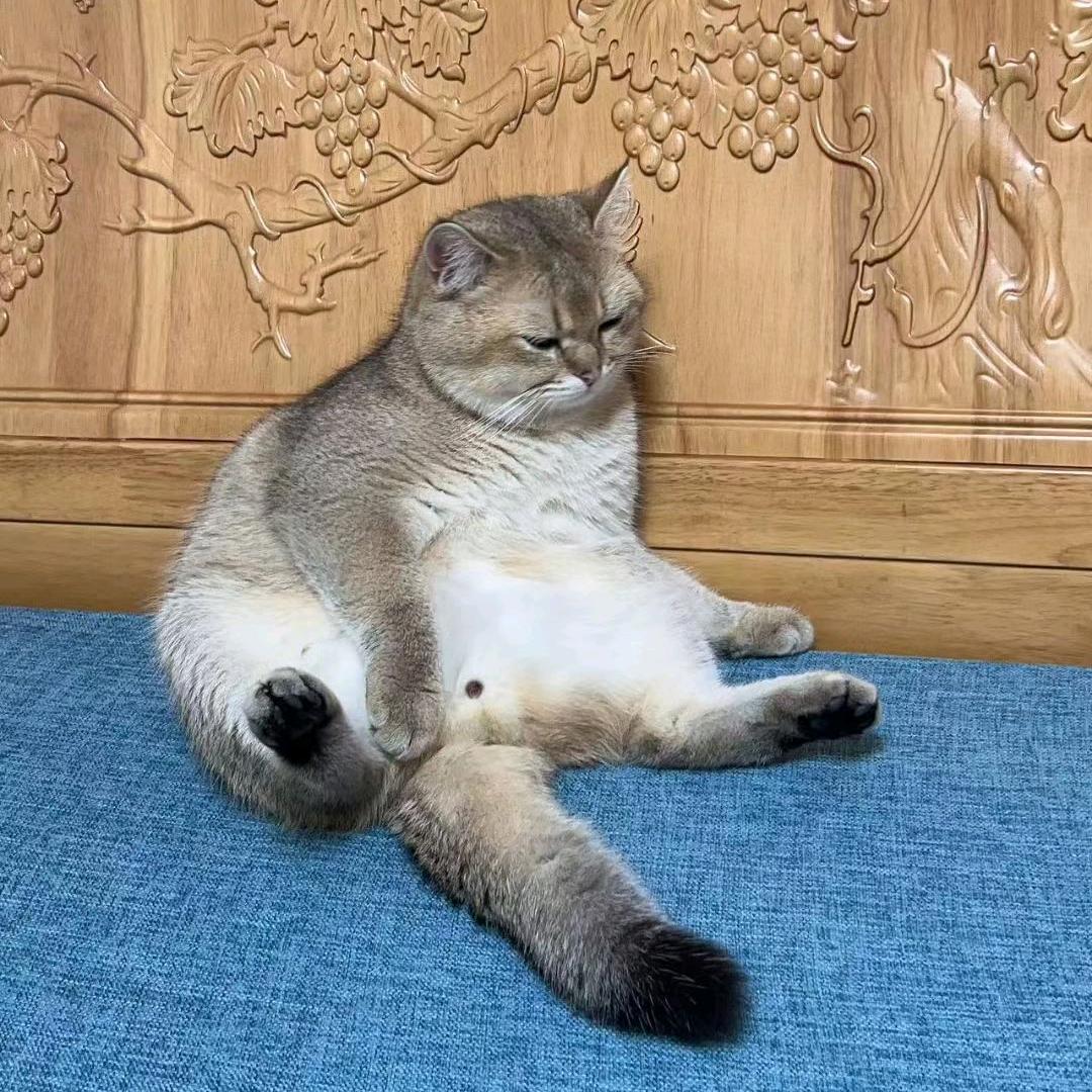 揪咪爸爸  大宝儿子