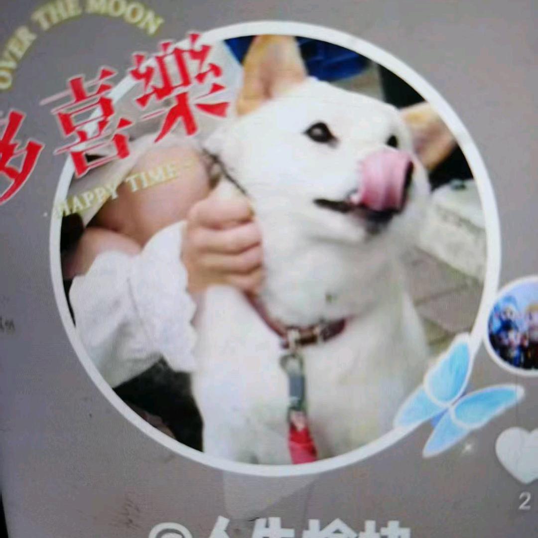 快乐梦2