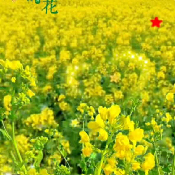 相伴一世😍😍😍😄😄👿👿