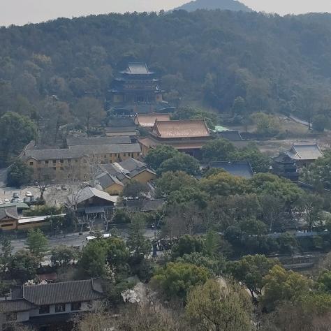 如鱼得水，小君