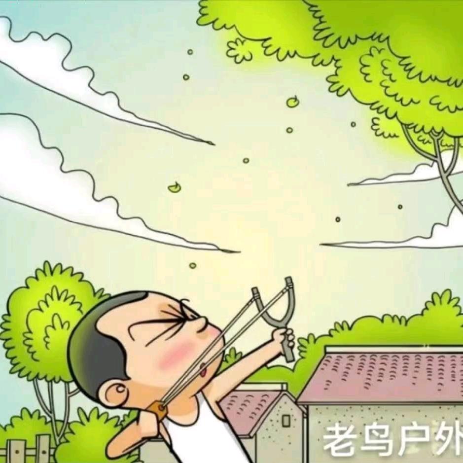 老鸟户外(2号)