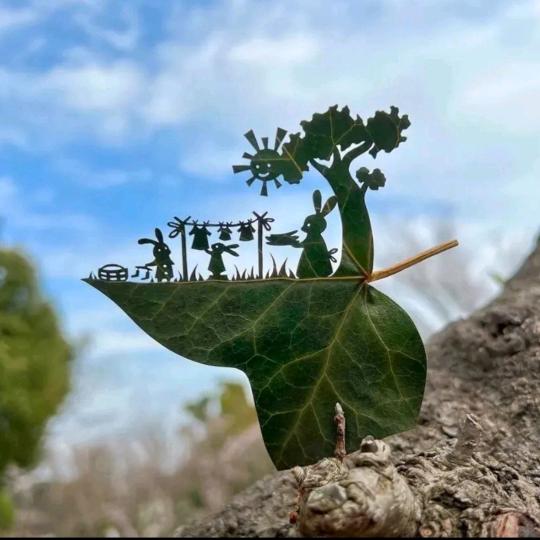 じ★ve叶子🍃🌹