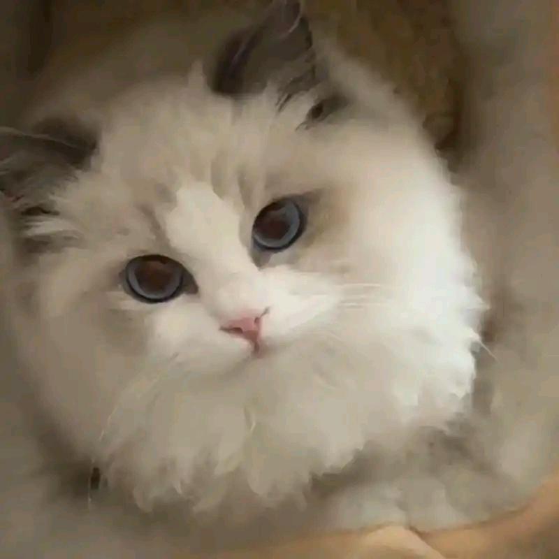 本源数学工作室