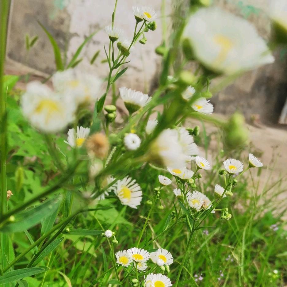 珊瑚礁（拒连赞）